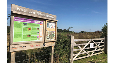 Redrow Building Responsibly - White Lion Nature Reserve pic article in image