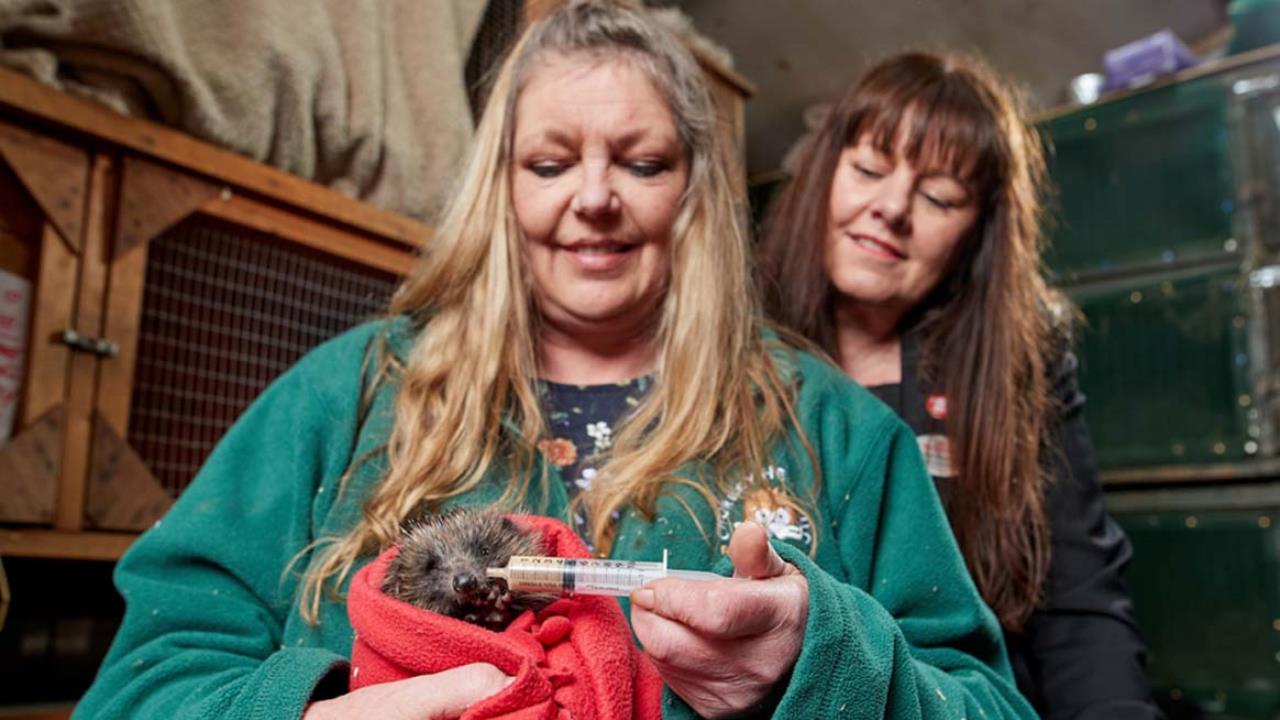 Redrow - News - Chorley Hedgehog Rescue Centre Donation