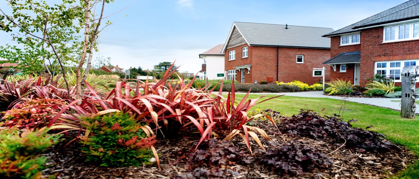 Alderwood Header Image 2