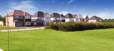 Romansfield