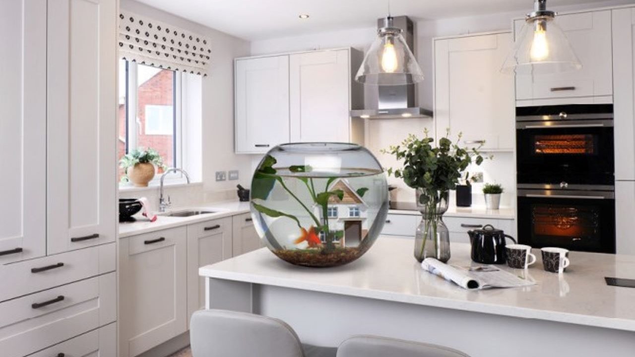 Redrow- Inspiration - Moving to a new home with pets - fish bowl in kitchen