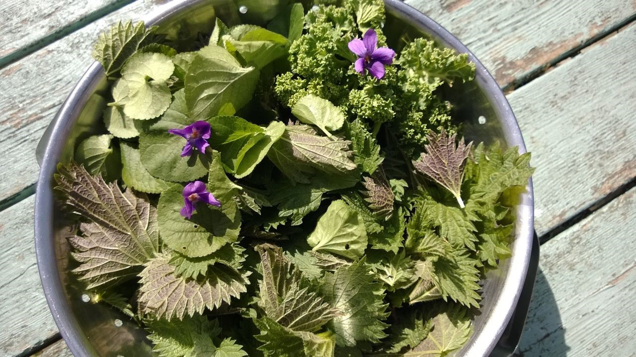 Redrow | Inspiration | Bowl of Nettles