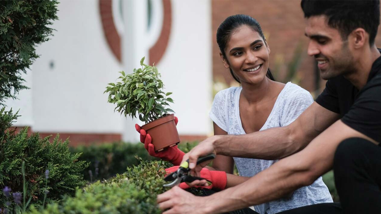 Redrow - Inspiration - A happy couple gardening together