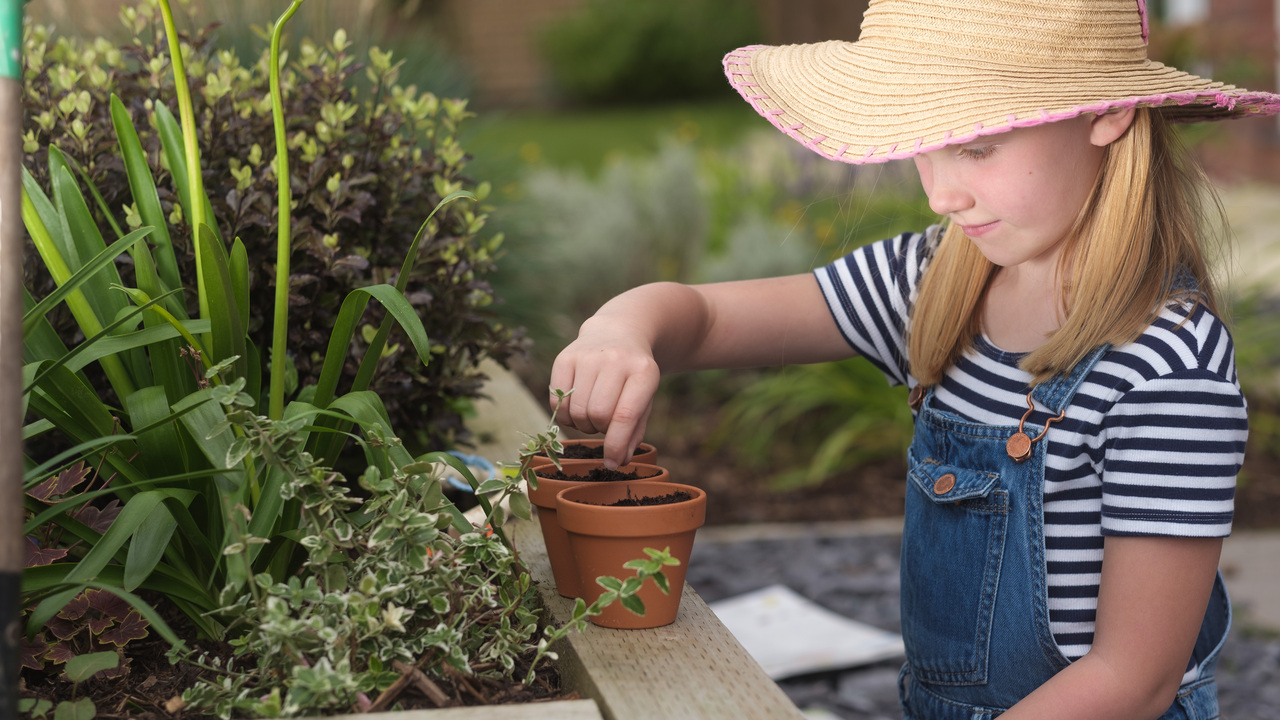 Redrow | Inspiration | Get the kids gardening in July