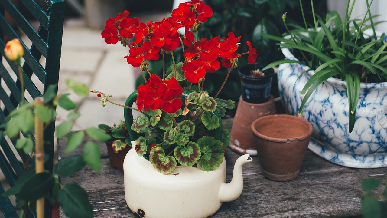 Redrow | Inspiration | Small Pots with Flower