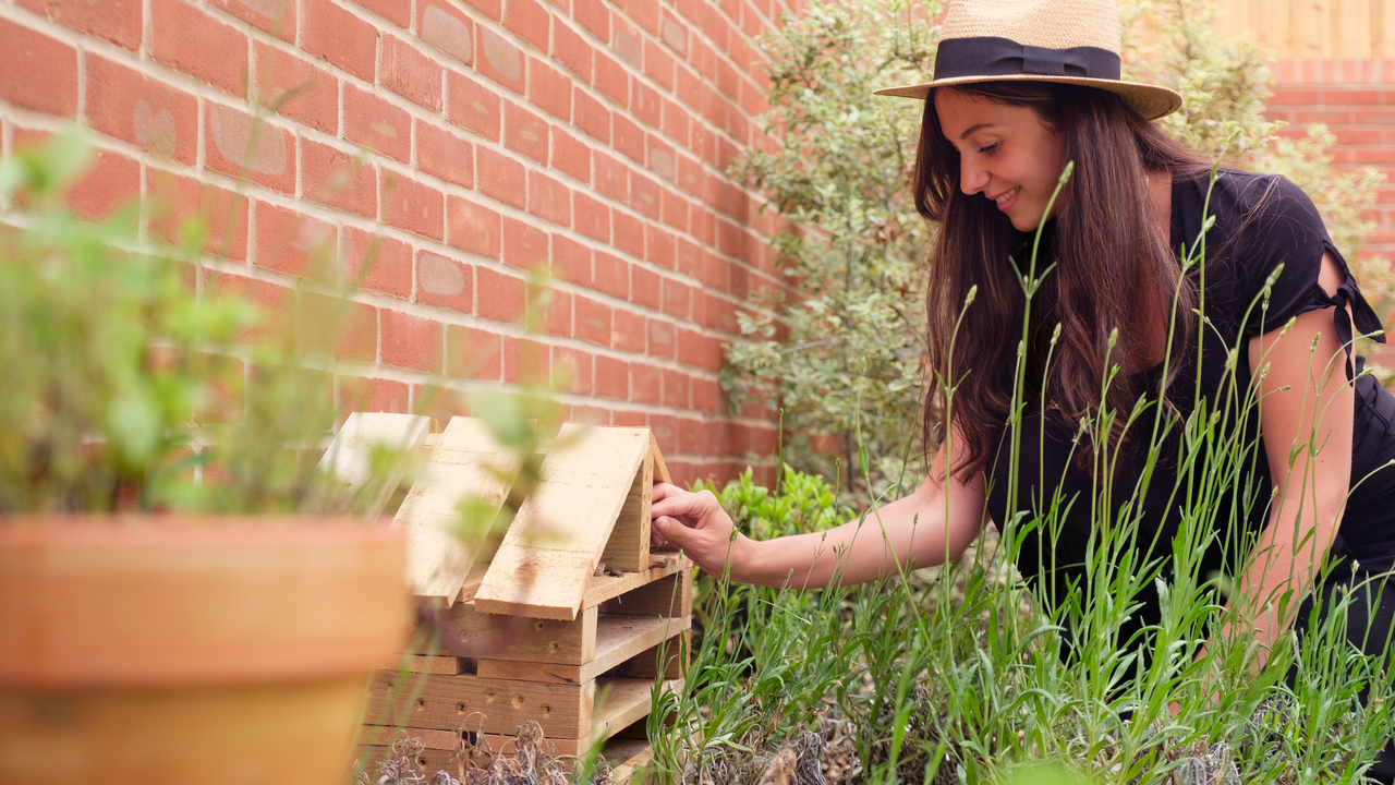 Redrow  - Inspiration  - Women Looking After Bug House