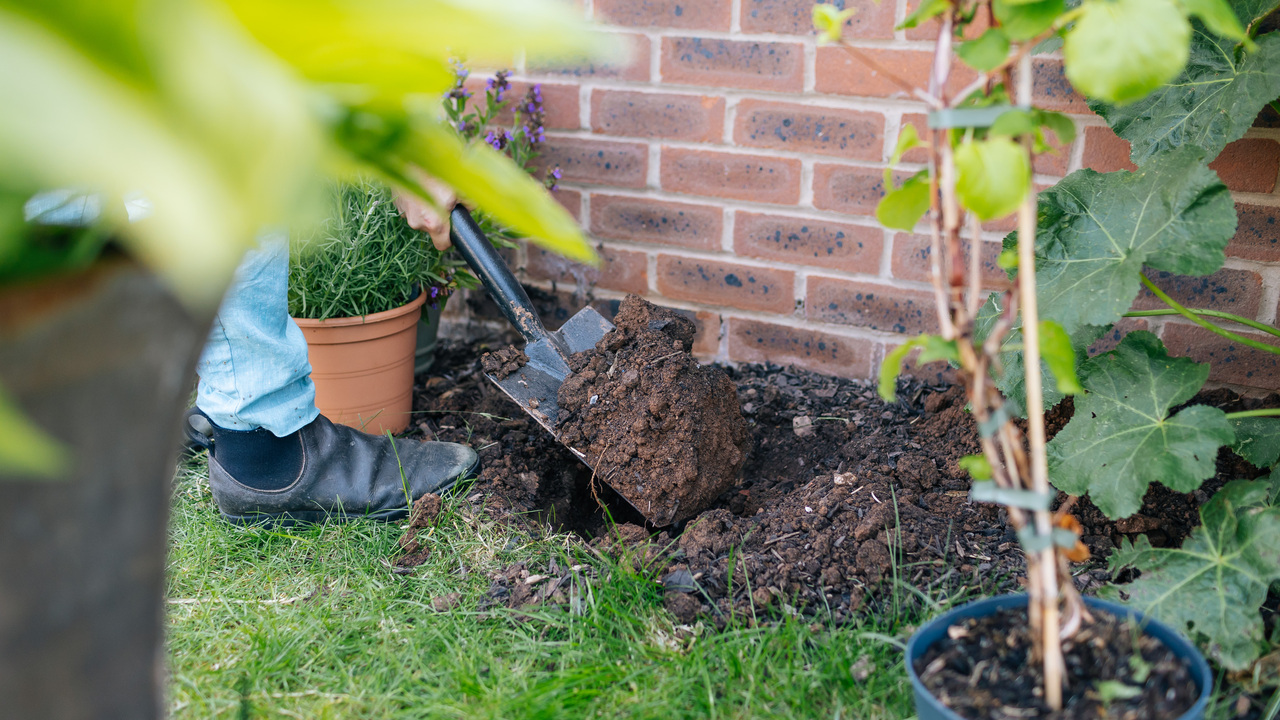 Redrow - Inspiration - Preparing your garden for autumn and winter
