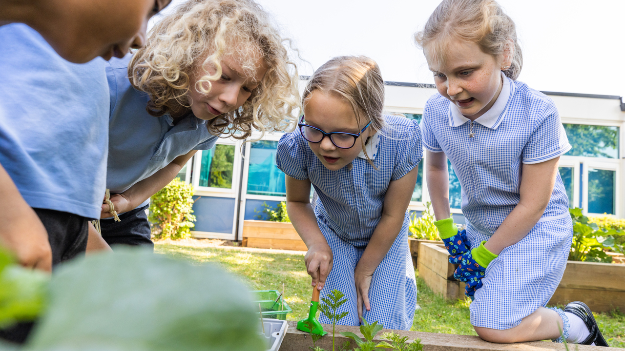 Inspiration - Garden planting ideas by season - Gardening for children
