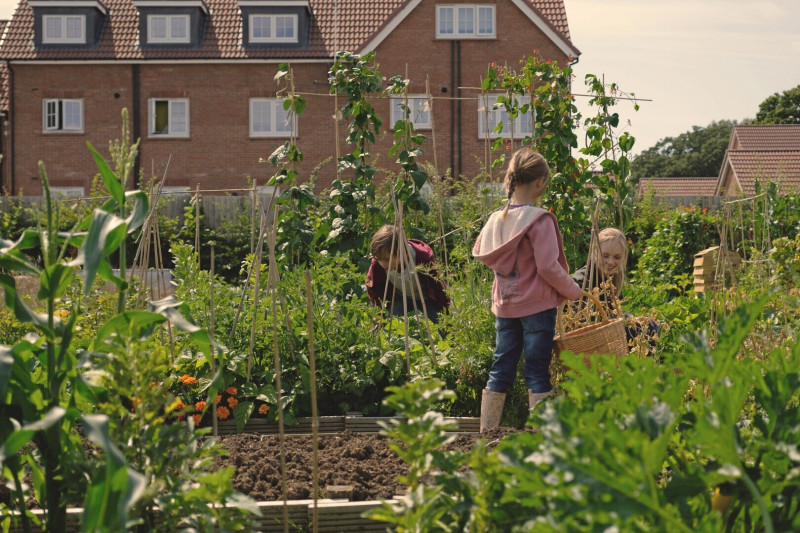 Redrow | Inspiration | A young mother and her 2 small children picking vegetables