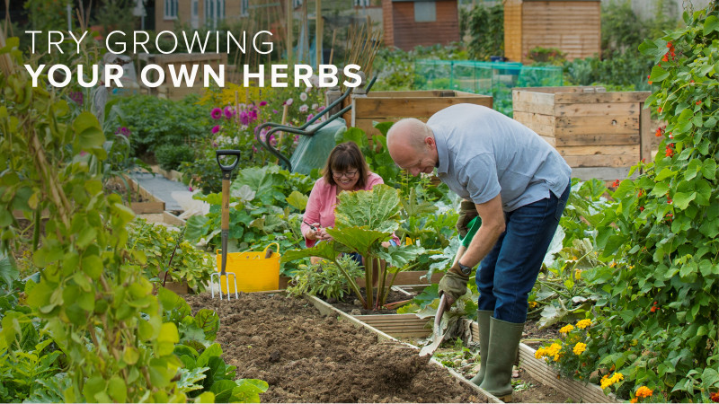 Redrow | Inspiration | Try Growing Your Own Herbs