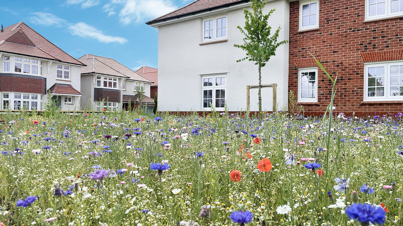 Redrow - Inspiration - Benefits of Nature on Your Doorstep