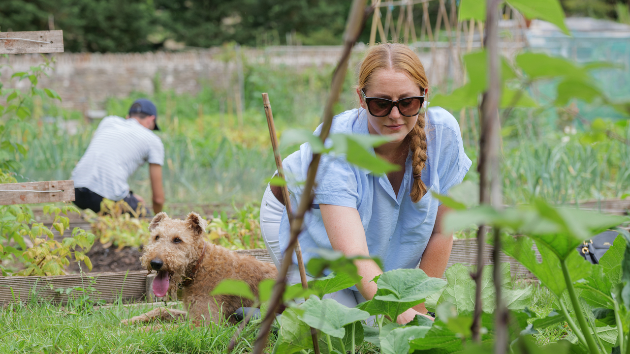 Redrow - Inspiration - Women and dog on a allotment