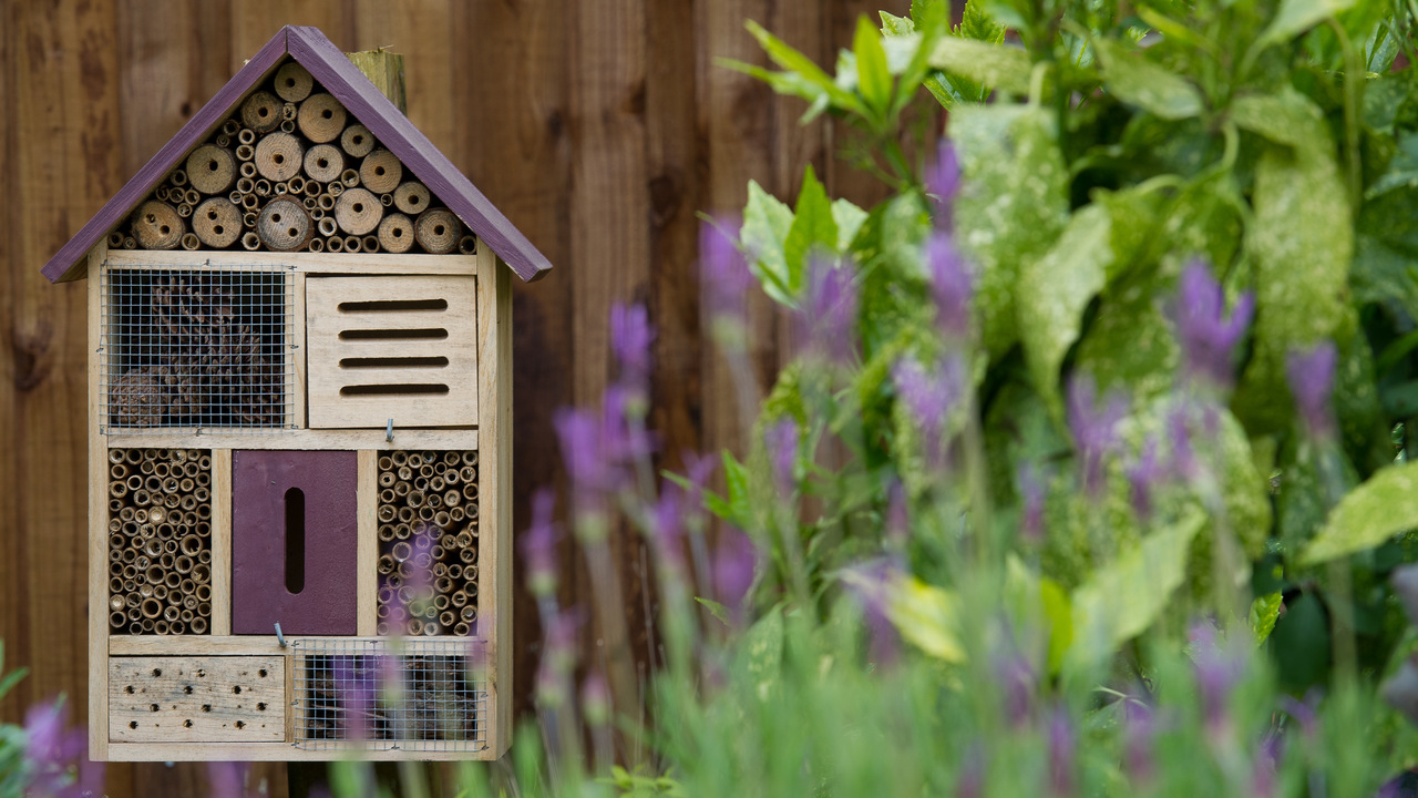 Redrow - Inspiration - Wooden Insect and Bee home at Redrow Development